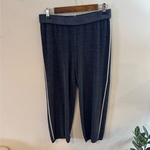 Barefoot Dreams CozyChic Ultra Lite® Stripe Jogger Pants, Sz S (30” Waist)